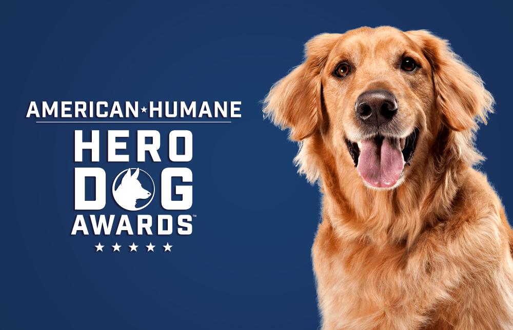 American Humane Hero Dog Awards® American Humane American Humane
